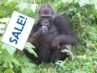Gorilla holding "SALE!" sign